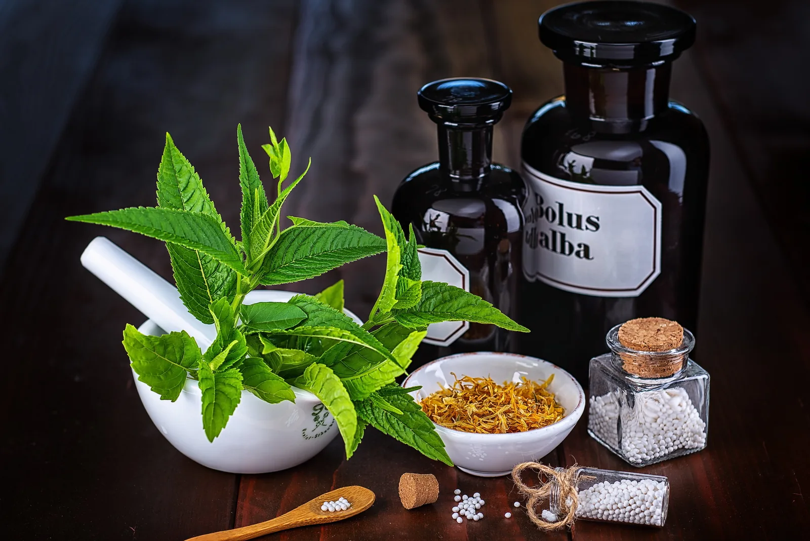 Mörser mit frischen Kräutern und Apothekerflaschen